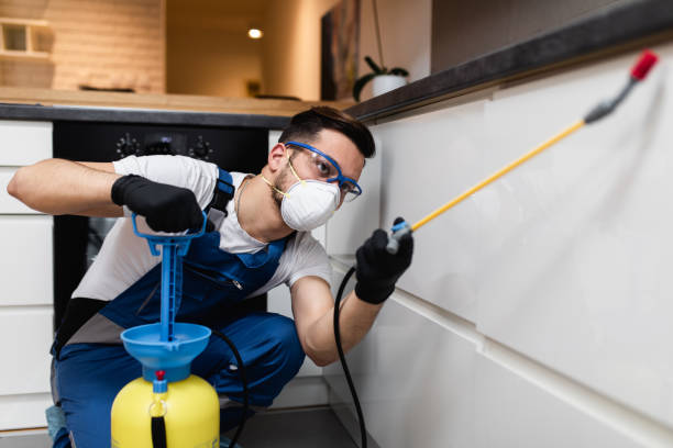 Best Best Pest Control Companies  in Brewster Hill, NY