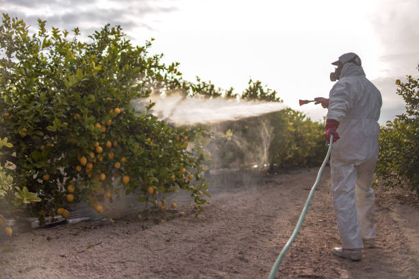 Best Exterminator Services  in Brewster Hill, NY