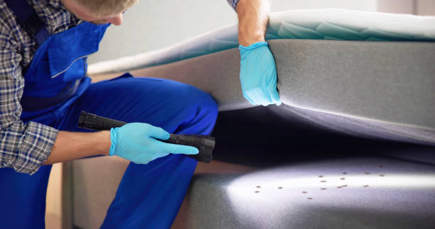 Best Best Pest Control Companies  in Brewster Hill, NY