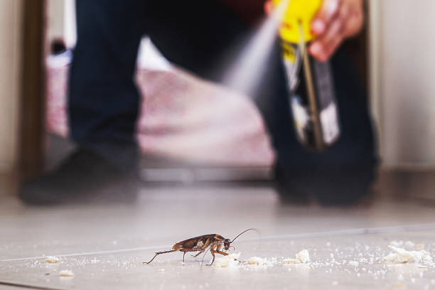 Best Termite Control Services  in Brewster Hill, NY