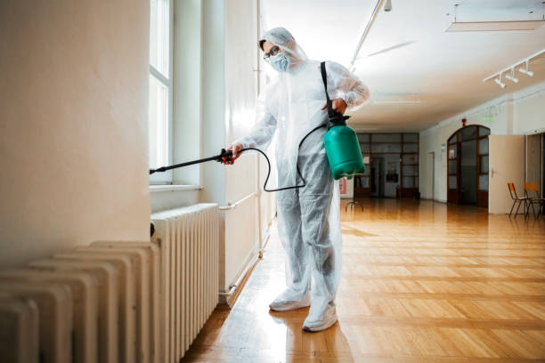 Best Flea Control Services  in Brewster Hill, NY